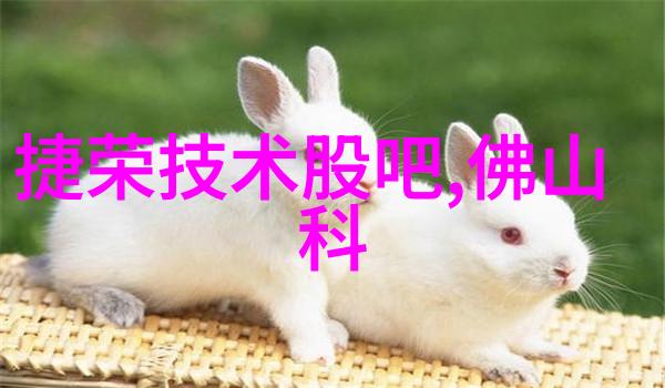 丝网规整填料型号应用与技术发展