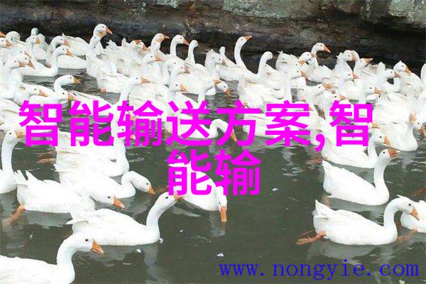在不同环境中镀锌方管的使用寿命会有怎样的差异
