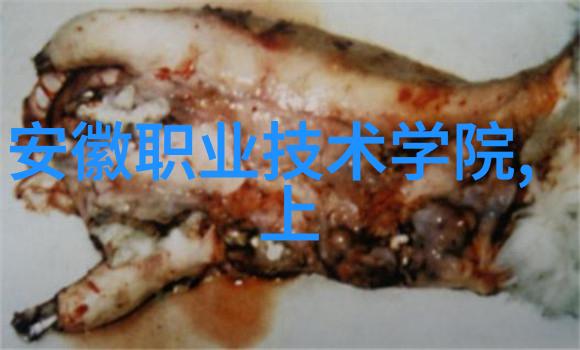 全是肉的糙汉文-粗犷文字探索全是肉的糙汉文在现代文学中的地位与影响