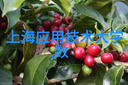 畜牧革命智能化养殖设备的未来