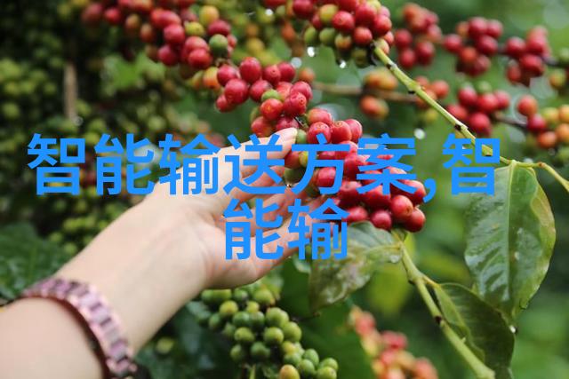 无问之谜探索知识的深渊