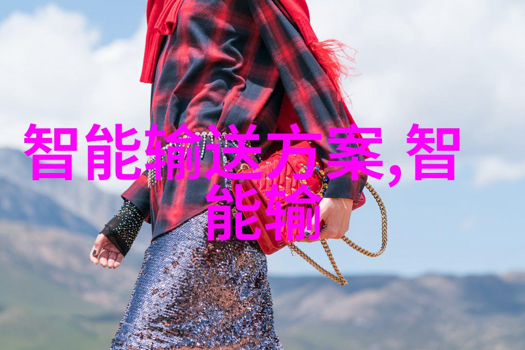 人工智能终身服务能力人工智能长期可靠性探讨