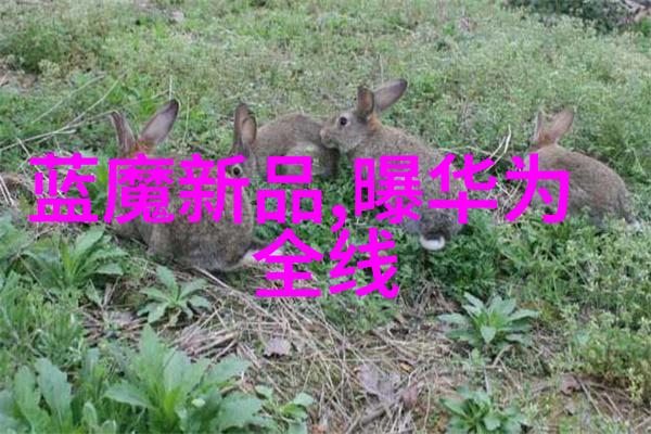 基于WK-4型电铲电路的维修及改进方法