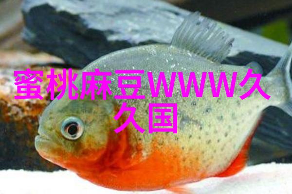 人性之光揭秘人类独特的魅力与优势