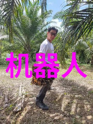 沪城剔除2022年最新血案回顾