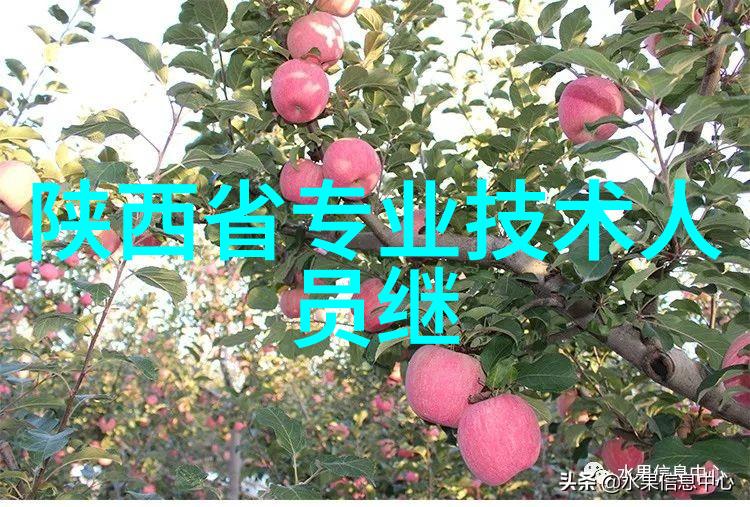 不锈钢波纹填料概述金属之韵空间的织品
