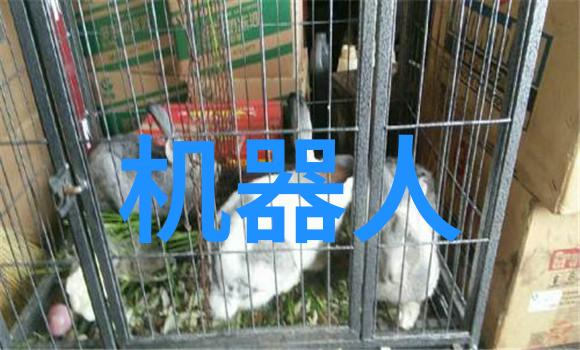 当旧式实验装备退役后该如何处理和回收它们