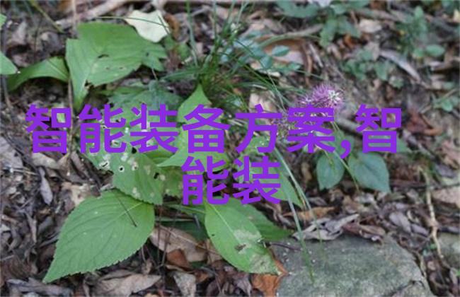 牵牵摸摸贴贴抱抱蹭蹭亲亲外国我和我的小宠物在异国他乡的日子