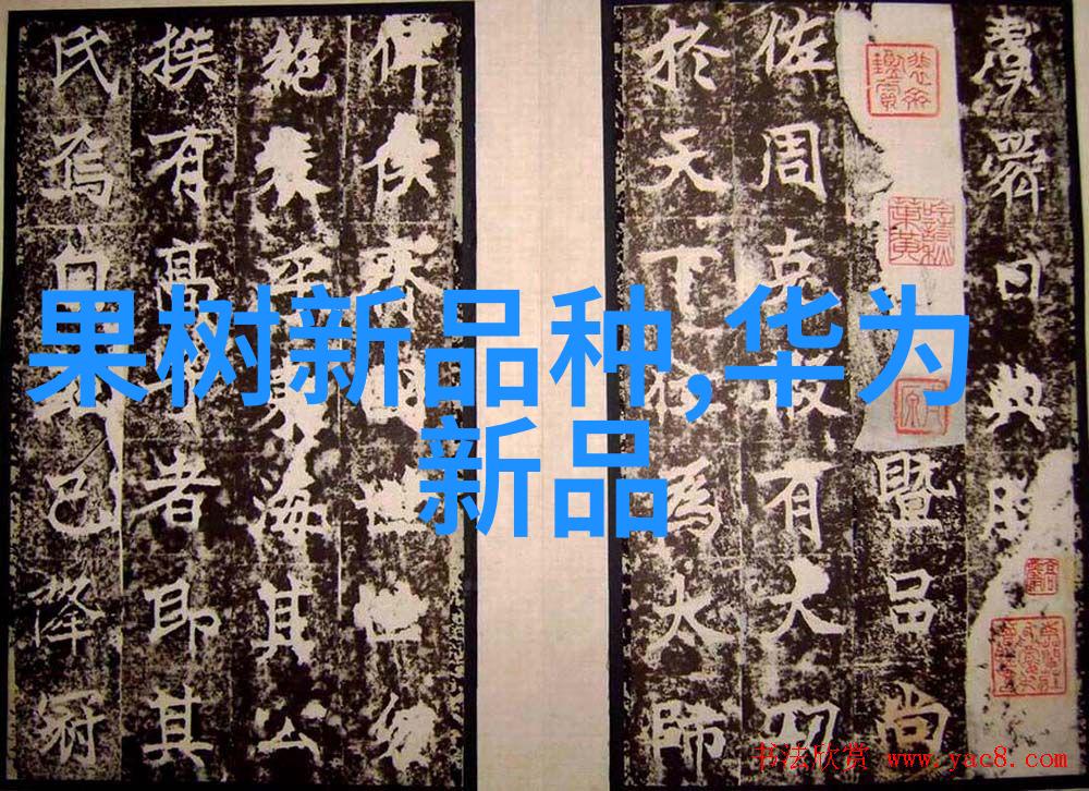 西南财经政法大学探秘广东服务业新动能