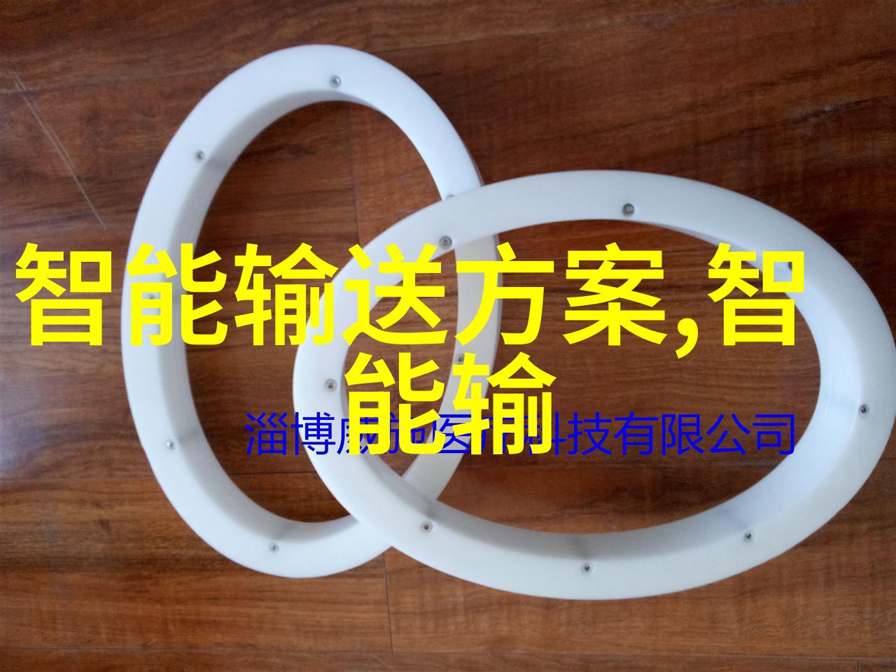 向申请项目资金的详细报告项目资金申请书