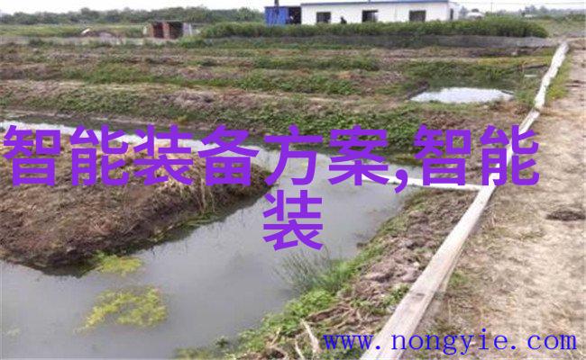 透明的掩饰膜与其组成的反差舞台