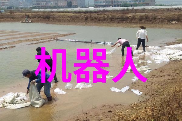 全球影视热点最新影视资讯速报