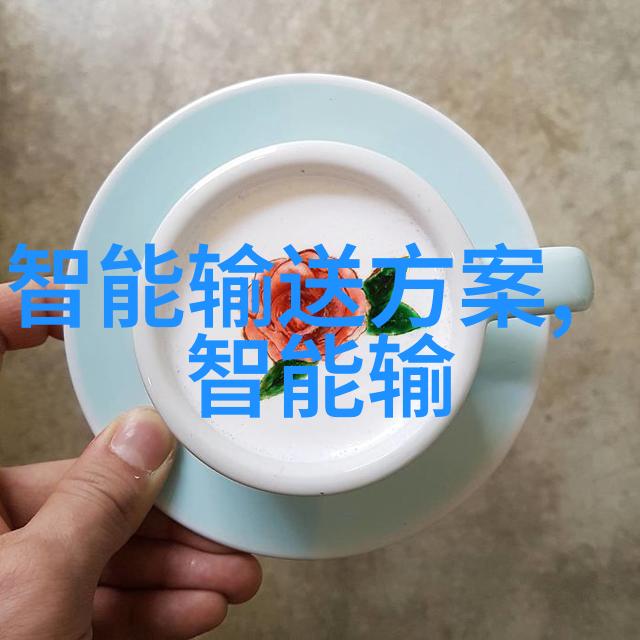 芯片之谜它究竟是什么