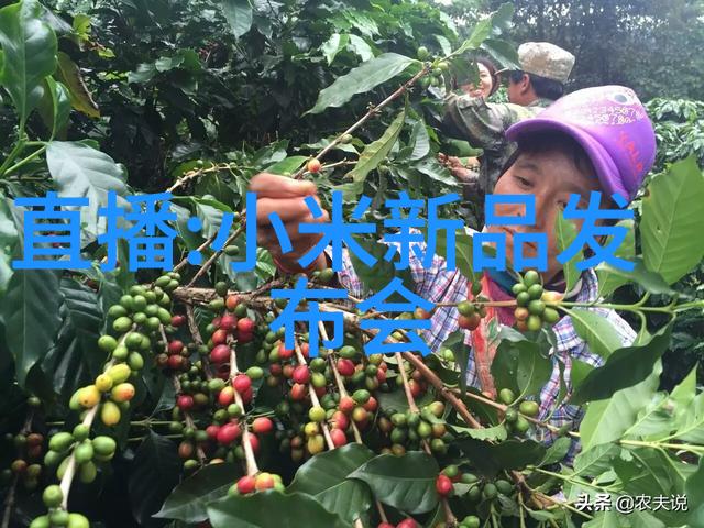 危废处理设备高效节能的环境友好型危险废物处理系统