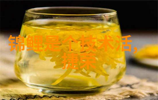 振动电机的工作原理与应用前景