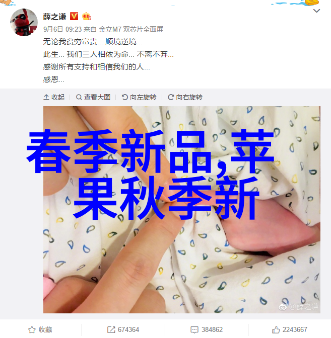 除尘骨架 - 掠风残影揭秘古墓除尘之谜