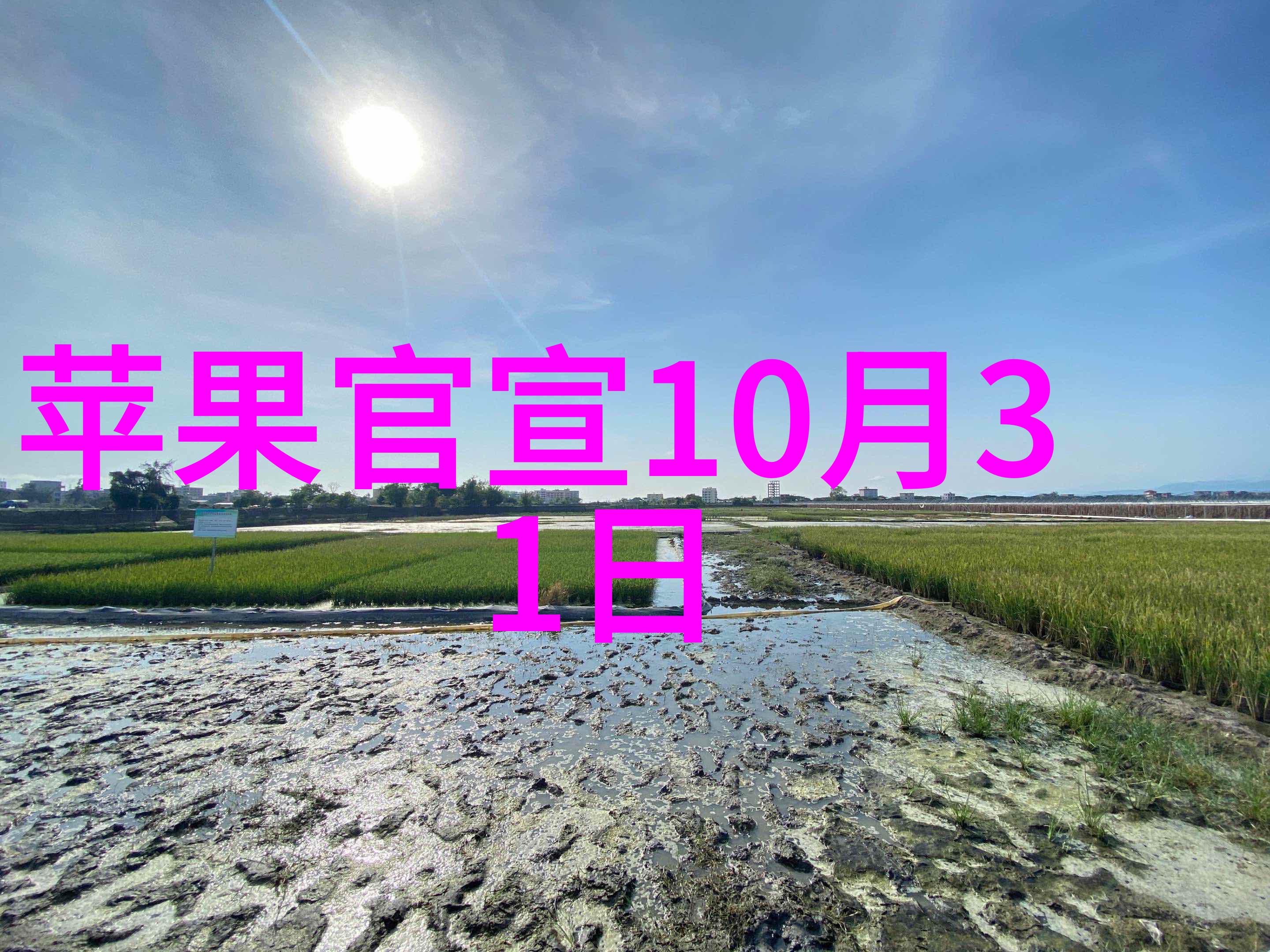 逆袭之星途