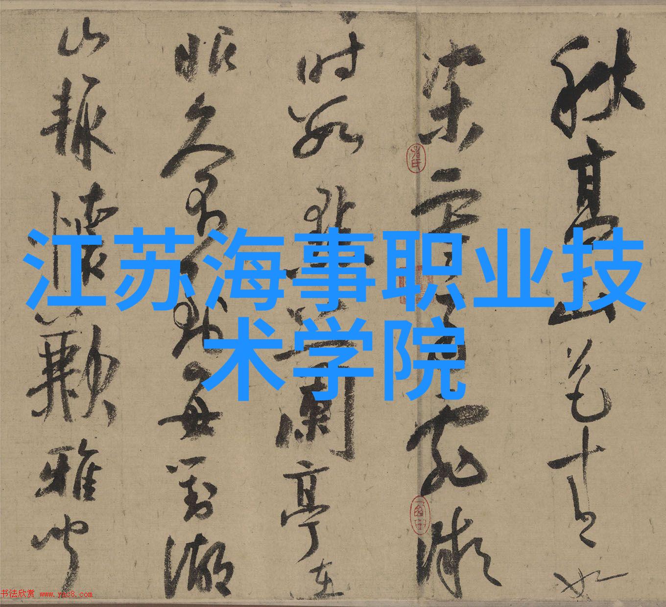 医院里的穿戴新贵从健康追踪到病房搞怪见证医疗科技的装扮变革