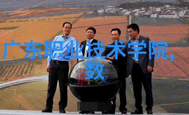 合肥财经职业学院-谱写新篇章合肥财经职业学院的发展历程与教育特色