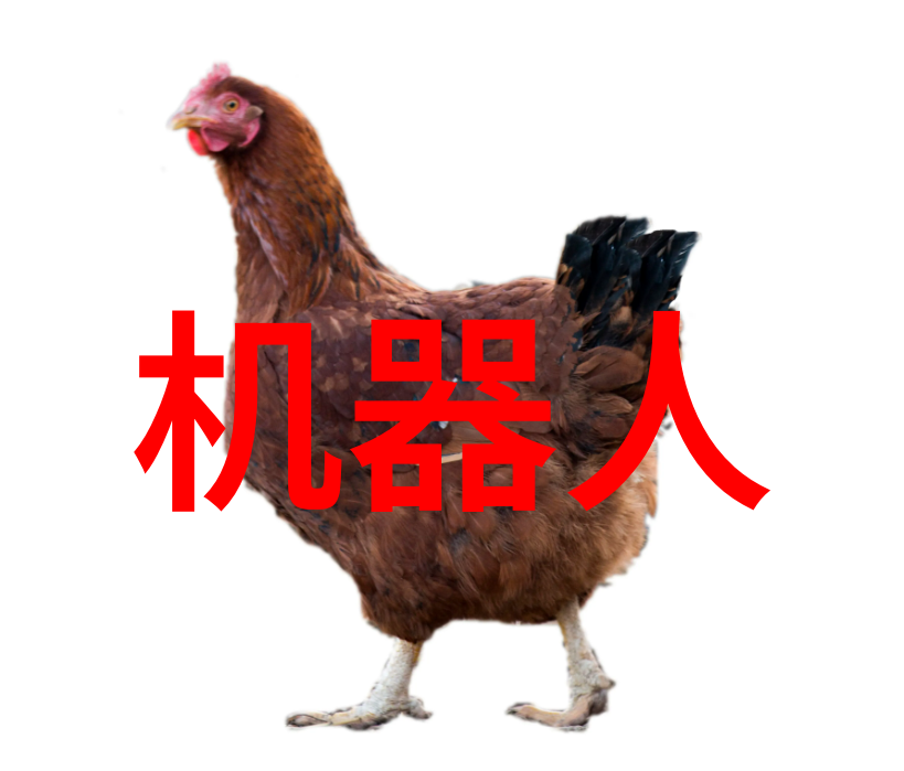 市场分析报告环保与可持续发展对市场的影响
