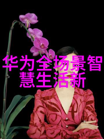 信息安全测评揭秘黑客攻击的隐蔽之道