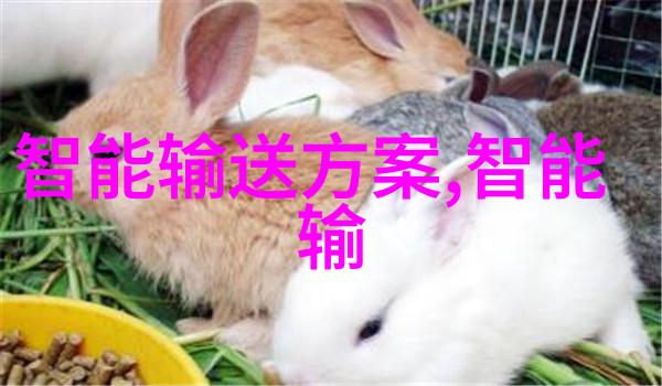 伴随我们一路前行智能装备在交通出行中的角色