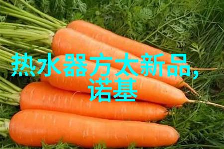 宇航员训练旋转离心机背后的科学奥秘是什么