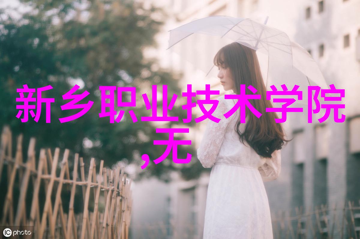 整改之谜揭开背后的真相与隐秘