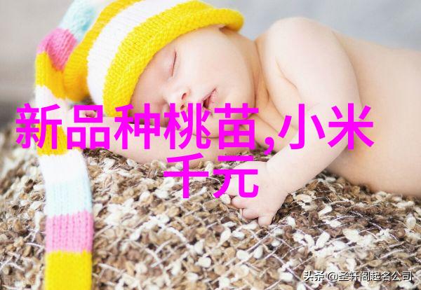 如何权衡丝网填料和陶瓷填料的选择以实现既经济又耐用的解决方案