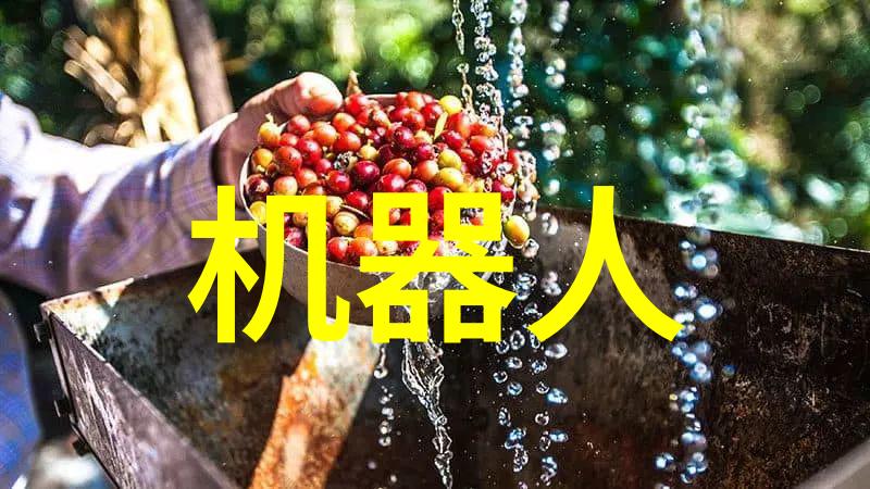 倍智人才测评我是怎么通过这次测评提升自己的