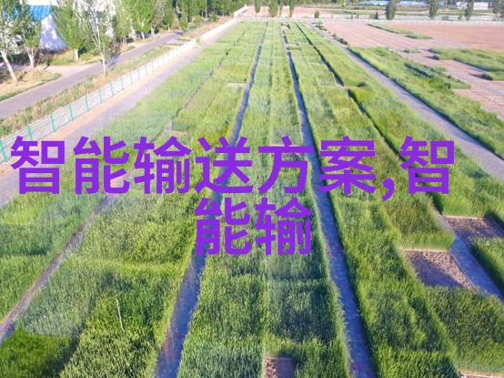 探索智慧之门深度解析倍智人才测评138题的奥秘与挑战