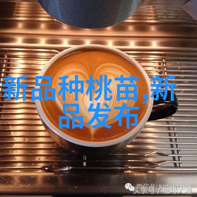 国产芯片第一龙头股为何仅值4元
