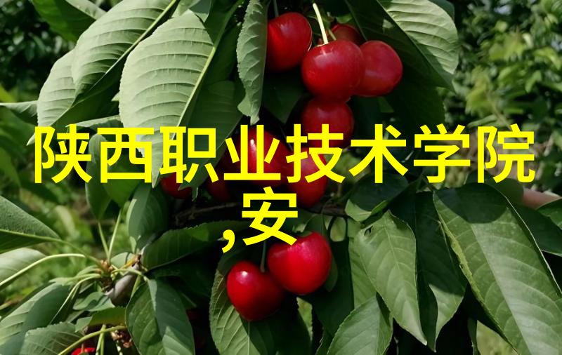 环保型橡胶面皮传动带的优势介绍
