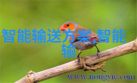 我和我的炮灸体验