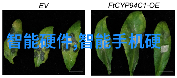 三大基础化工原料它们是如何塑造现代工业的巨轮
