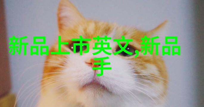 芯片暴跌背后的电子孤岛科技潮流与市场冷漠的反差之谜