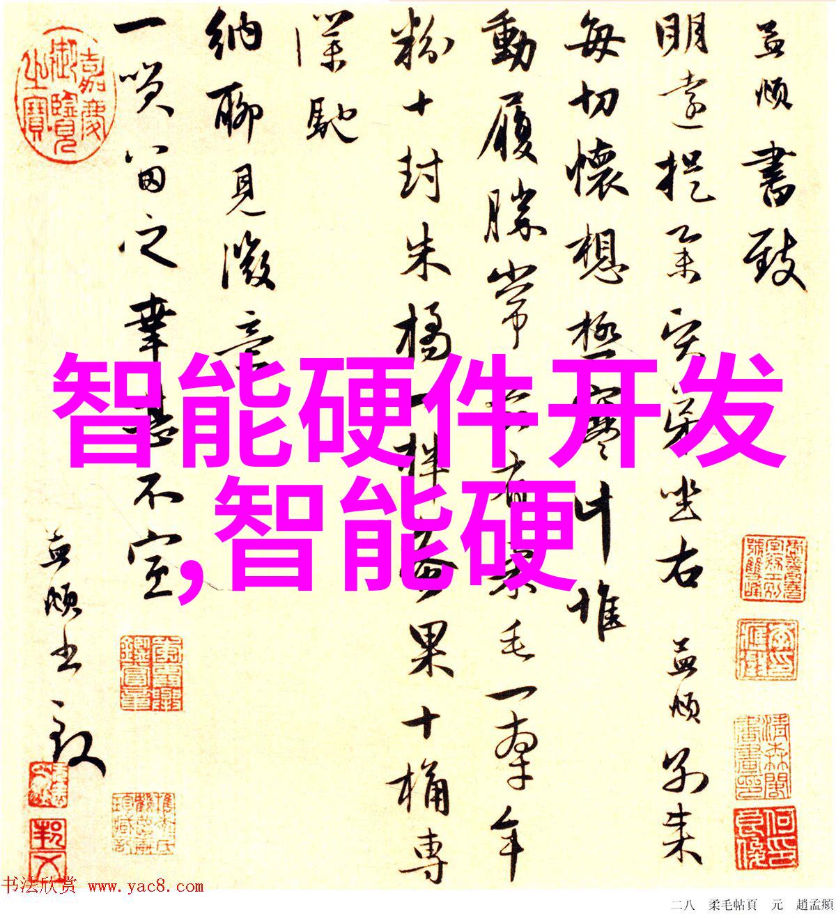 佛山科技新星探索学院创新精神的光芒