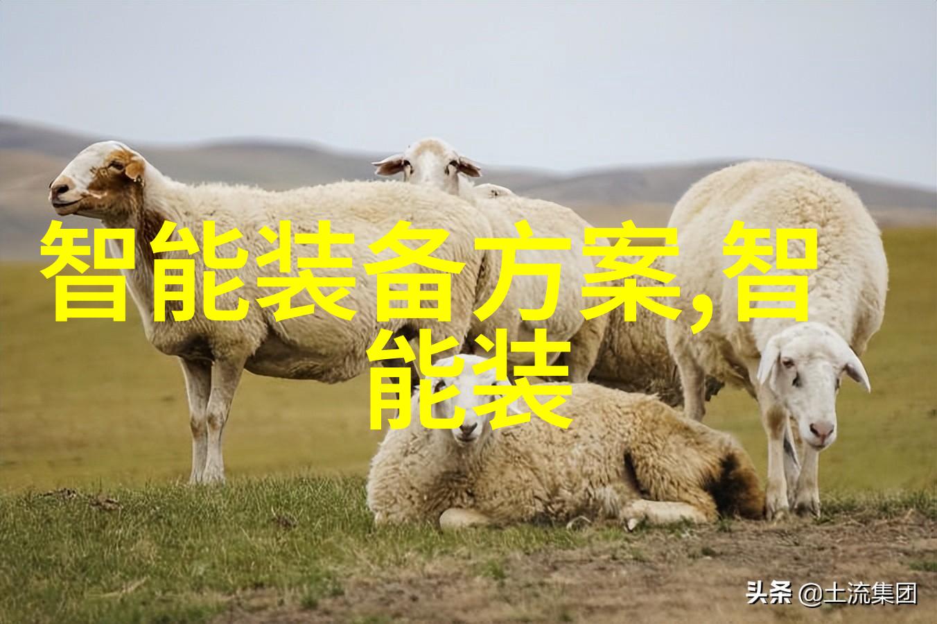 社会服务与公益活动广东职业技术学院社区参与实录