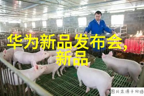 制冷设备厂家技术与市场发展分析