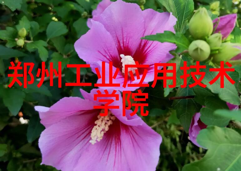 水脉图谱管径之韵