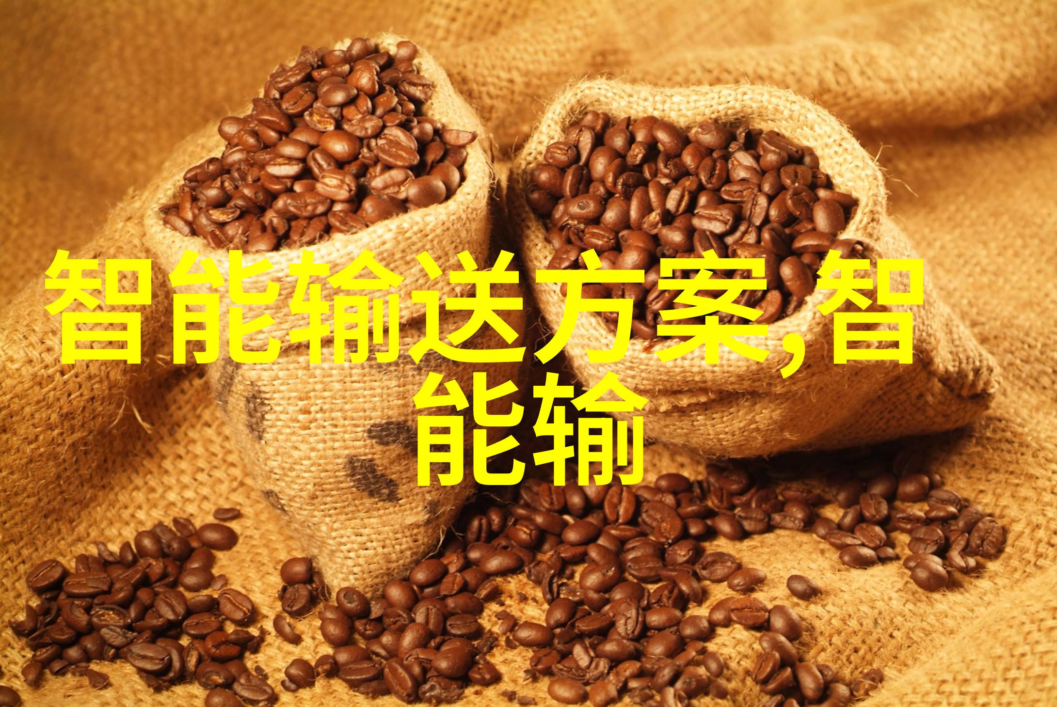 环填料是规整填料我来帮你搞懂它到底是什么玩意儿