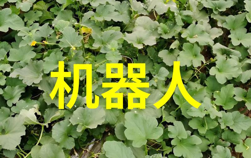 铁轨上的技术与梦想铁路职业技术学院的学术与实践融合