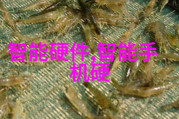 中国股市走势深入分析A股市场的最新动向
