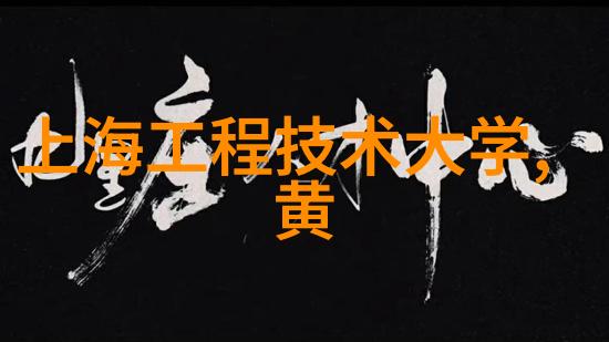 西南财经大学我在校园里的那些日子从书本到实践的奇妙旅程