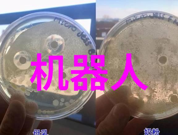 手写报告撰写技巧与实用性分析
