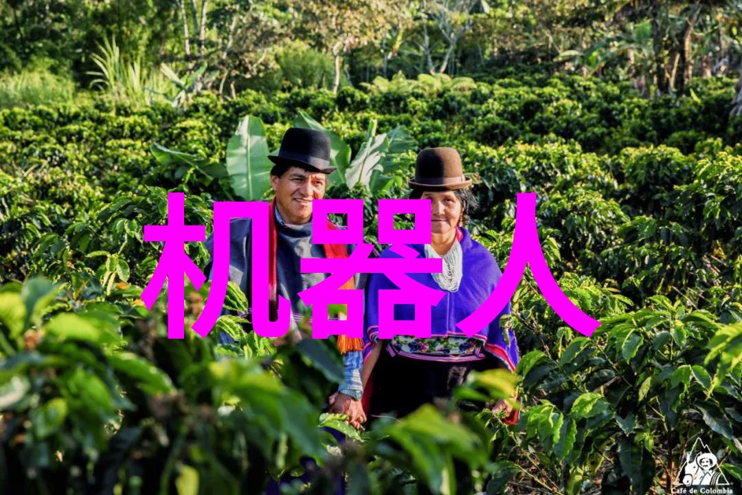离心风机型号及参数大全揭秘每一款的独特之处