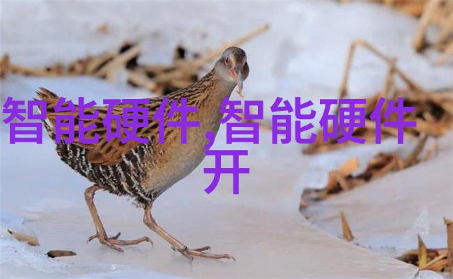 小型活性炭生产设备 - 创意工坊如何运用小型活性炭生产设备打造环保生活品
