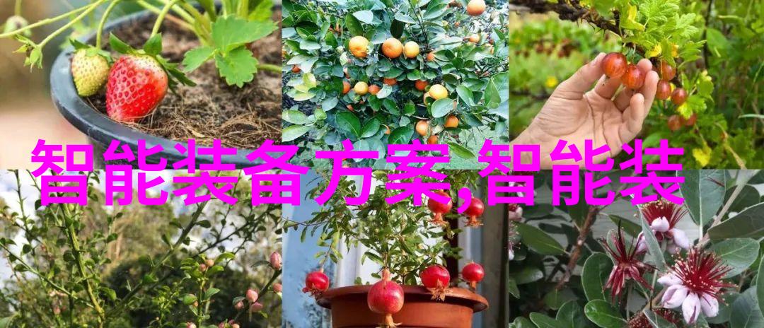 老年生活趣闻-BGMBGMBGM老太太毛多多的温暖视频世界