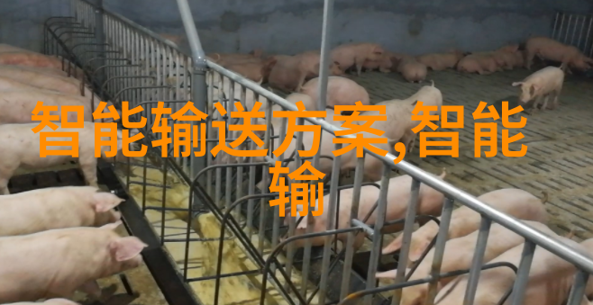 智慧交叉交通安全新篇章的智能编织