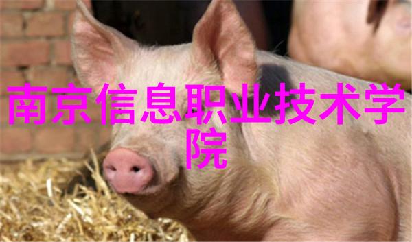 百度汽车配件大全您的行车伙伴